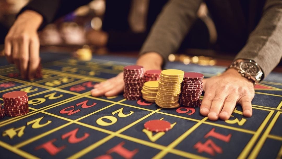 Sharkroll: Build your casino assets with expert gambling strategies