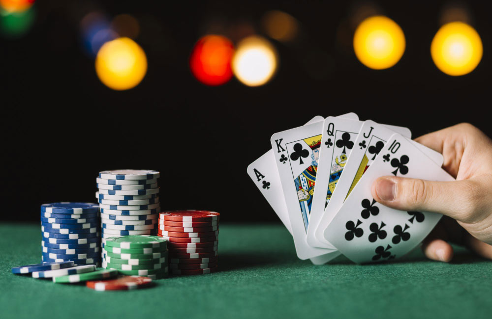Embark on slotbunny's exciting gambling adventure to acquire big wins